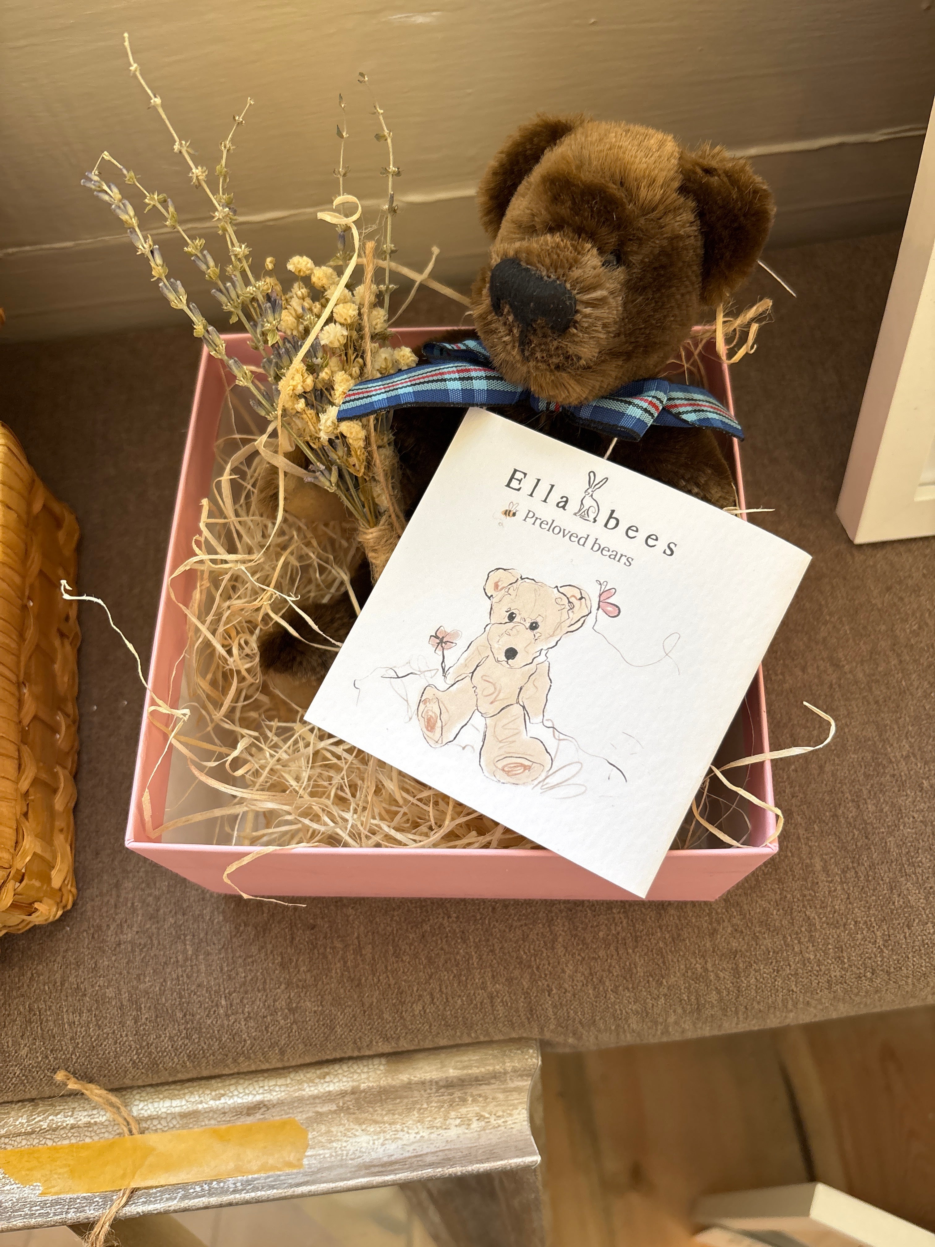 Rare Sunkid bear from the US