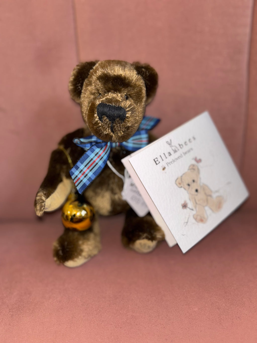 Rare Sunkid bear from the US